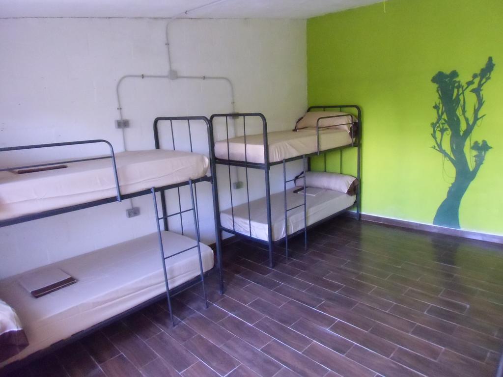 Hakuna Matata El Campello Zimmer foto